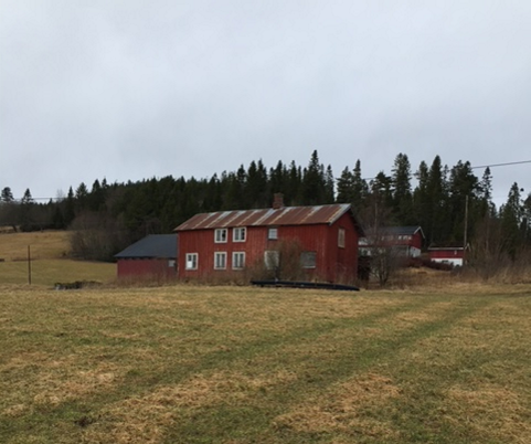 Bestemor sin stue i Trongsetra