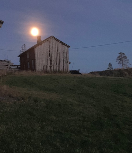 Bestemor sin stue i Trongsetre i dag